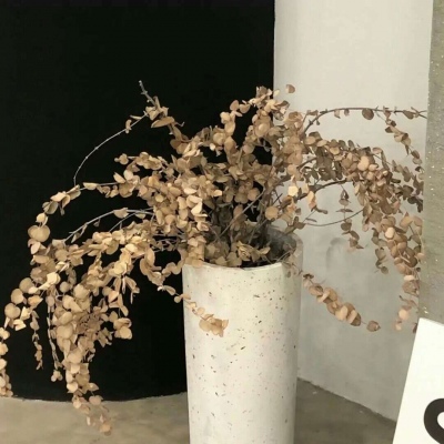 原创兽设世界观设计思路福瑞群